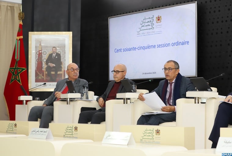 Le CESE tient la 165è session ordinaire de son Assemblée générale