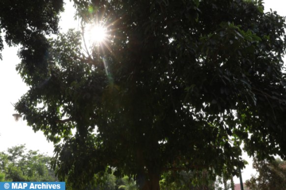 Prévisions météorologiques pour le dimanche 22 décembre 2024