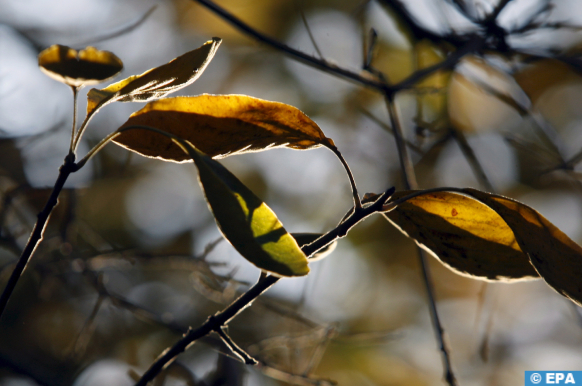 Prévisions météorologiques pour le lundi 16 décembre 2024