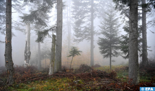 Prévisions météorologiques pour le mardi 17 décembre 2024