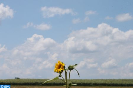 Prévisions météorologiques pour le samedi 14 décembre 2024