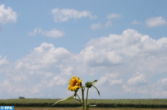 Prévisions météorologiques pour le samedi 21 décembre 2024