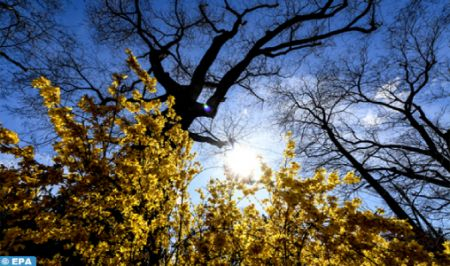 Températures prévues pour le dimanche 22 décembre 2024