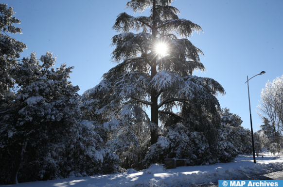 Températures prévues pour le mercredi 18 décembre 2024