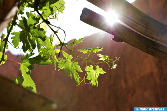 Températures prévues pour le samedi 14 décembre 2024