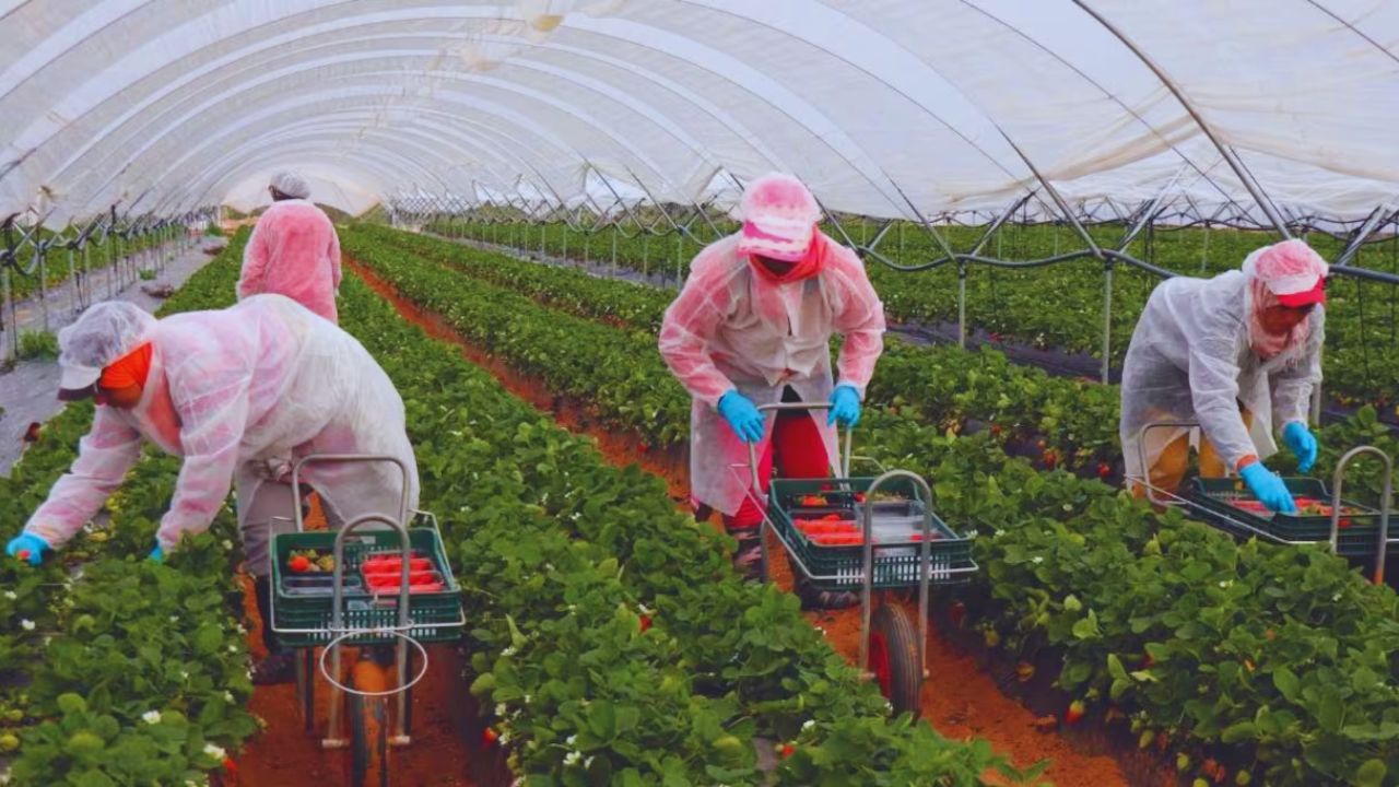 travailleurs marocains espagne