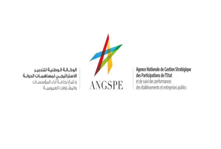 Le décret n° 2.24.1090 portant approbation de la Politique Actionnariale de l’Etat publié au Bulletin Officiel