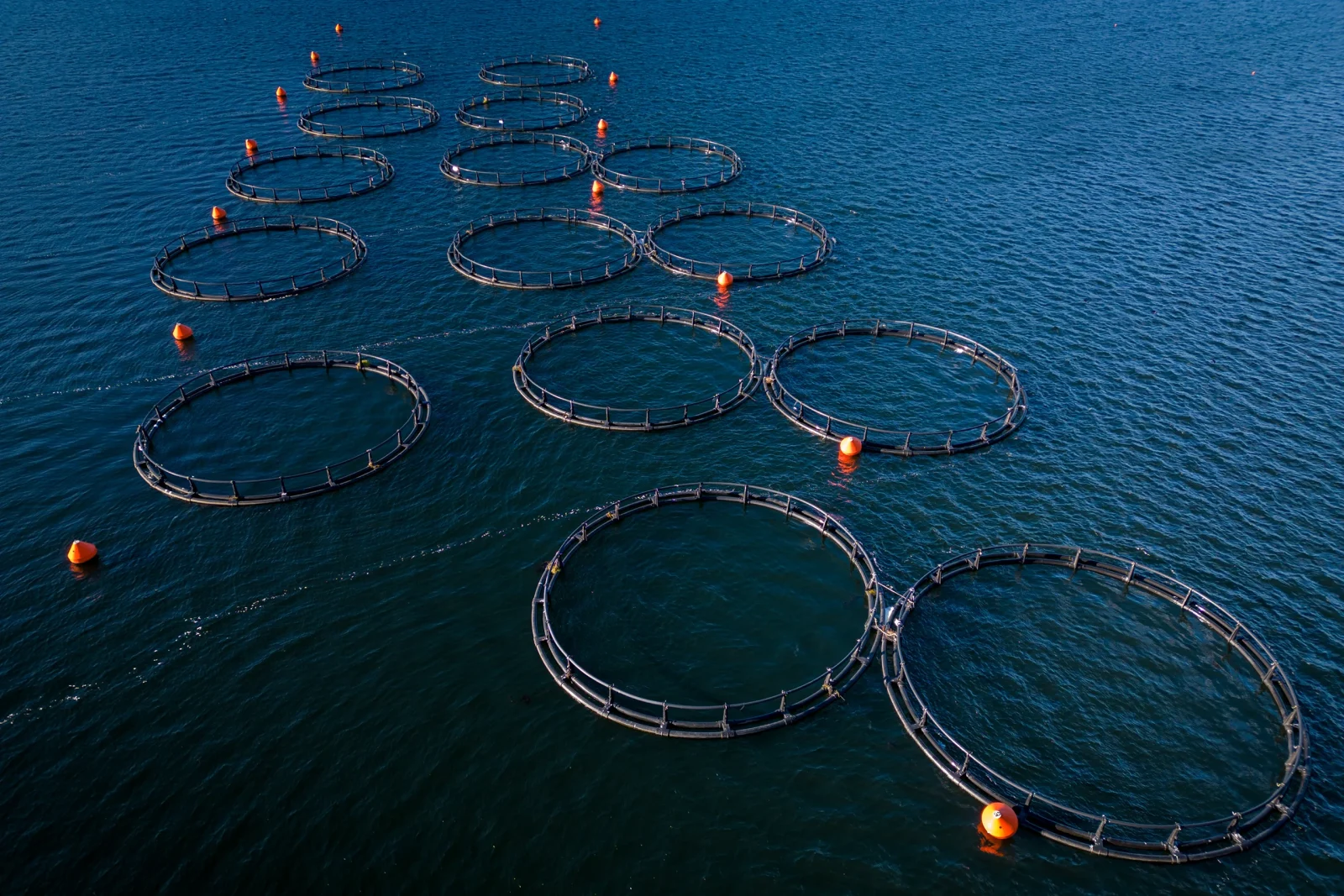 aquaculture