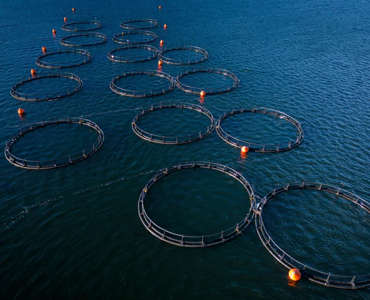 aquaculture
