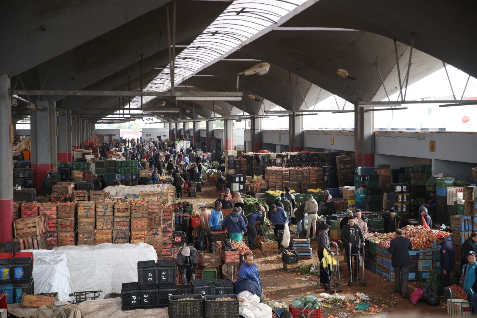 marché de gros de Kénitra