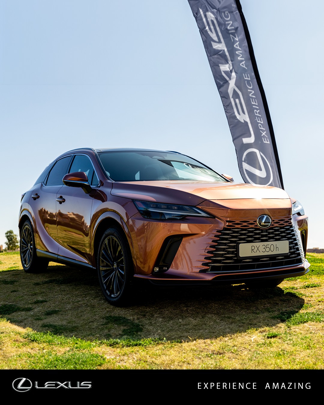 Lexus Maroc Golf Cup : Quand l’excellence automobile rencontre l’art du swing à Marrakech 4 Lexus Maroc Golf Cup