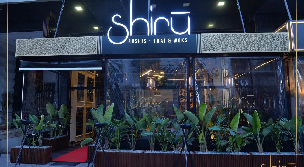 Les 7 Joyaux de la Cuisine Asiatique à Casablanca: Où Déguster les Meilleures Saveurs du Dragon 6 Shiru Sushis - Thaï & Woks