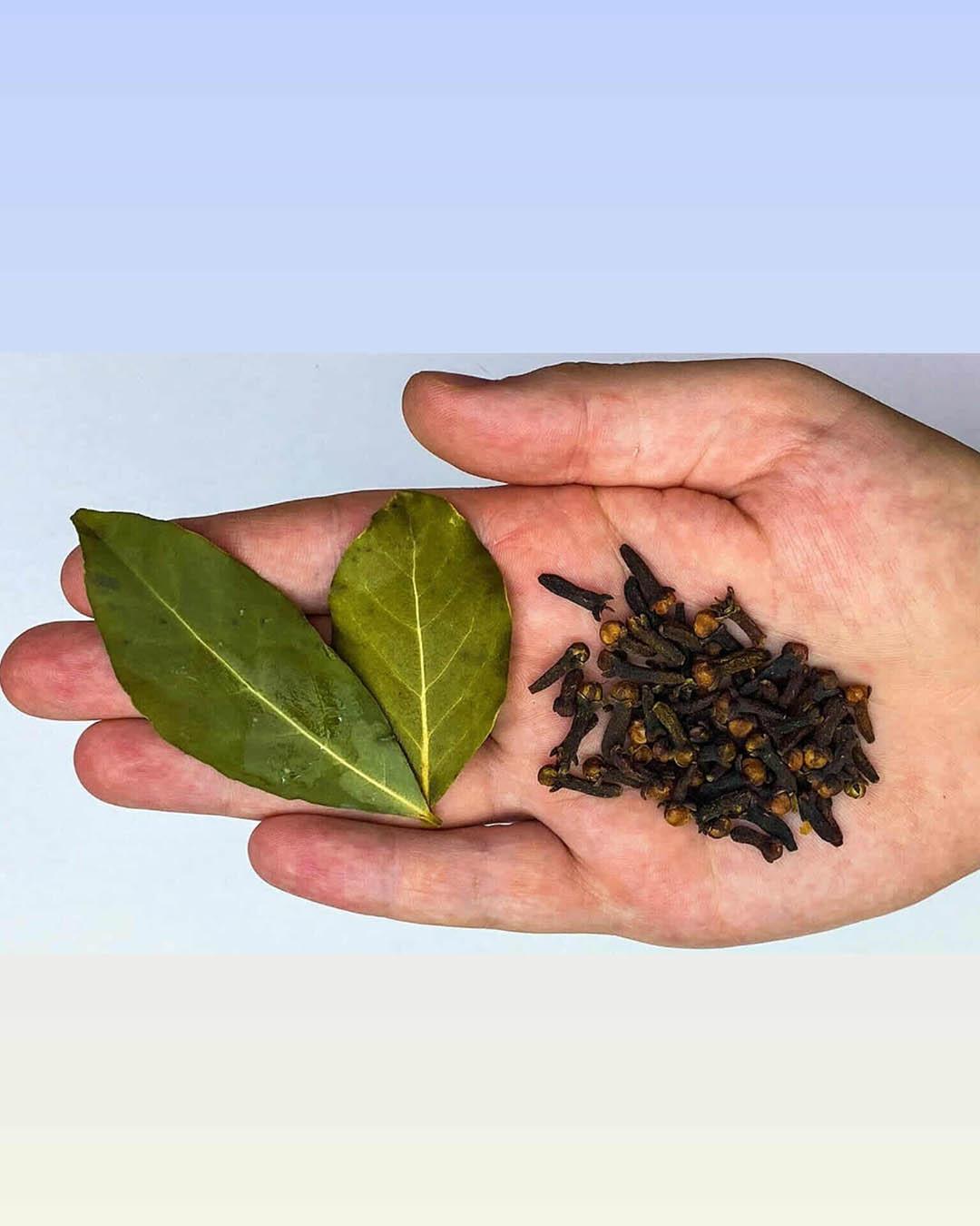 Mélangez 2 clous de girofle et 2 feuilles de laurier pour un ventre plat en seulement 4 nuits !