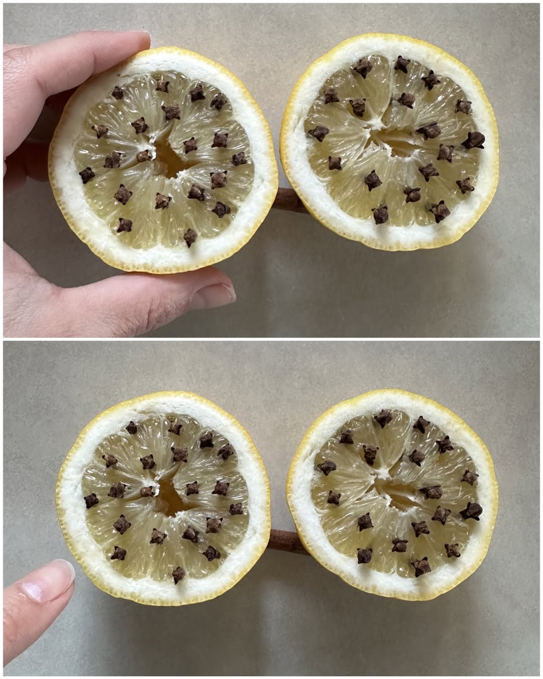 Un citron et quelques clous de girofle : l’astuce express qui fait fuir les mouches en moins de 30 minutes 2 Un citron et quelques clous de girofle