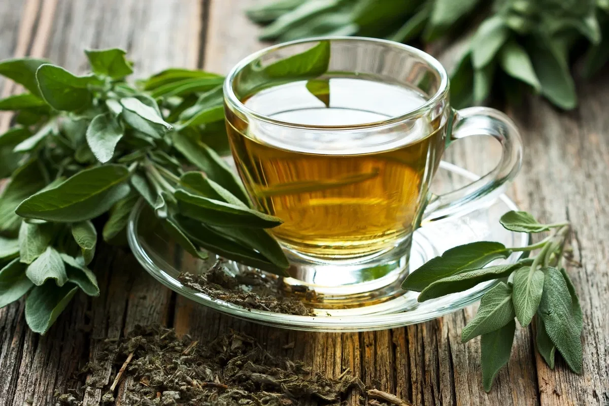 10 Aliments Pour Déboucher Les Artères Et Prévenir Les Crises Cardiaques Naturellement 11 Le Thé Vert
